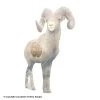 Rinehart Big Horn Sheep Insert -big shot shop 101031976