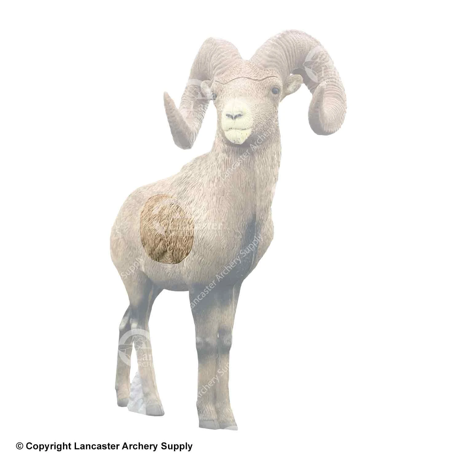 Rinehart Big Horn Sheep Insert 3 Rinehart Big Horn Sheep Insert