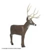 Delta McKenzie Baby Daddy Mule Deer 3D Target -big shot shop 1031615