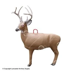 Morrell Transformer Buck 3D Target