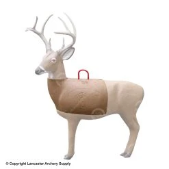 Morrell Transformer Buck 3D Replacement Mid- Section