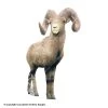 Rinehart Big Horn Sheep Target -big shot shop 1031975