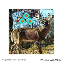 American Whitetail Tough Target Face (18"x18") -big shot shop 1130051 whitetail vitals