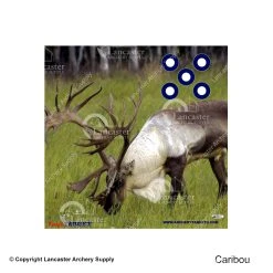 American Whitetail Tough Target Face (32"x32") -big shot shop 1130052 caribou