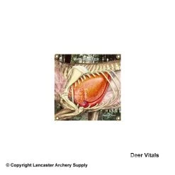 Arrowmat Targets -big shot shop 1870026 deervitals