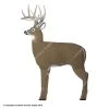 GlenDel Targets GlenDel Buck 3-D Deer Target -big shot shop 2200003
