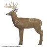 Shooter 3D Targets Shooter Buck 3D Deer Archery Target -big shot shop 2200041