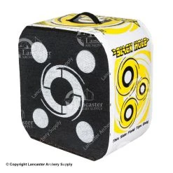 Black Hole Targets Black Hole B-22 Target