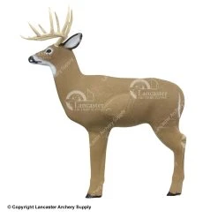 Shooter 3D Targets Shooter Big Shooter Buck 3D Deer Archery Target