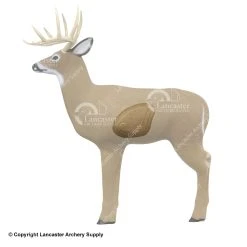 Shooter 3D Targets Shooter Big Shooter Buck Replacement Insert
