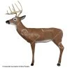 Delta McKenzie Hill Country Whitetail 1 Delta McKenzie Hill Country Whitetail -big shot shop 3120270