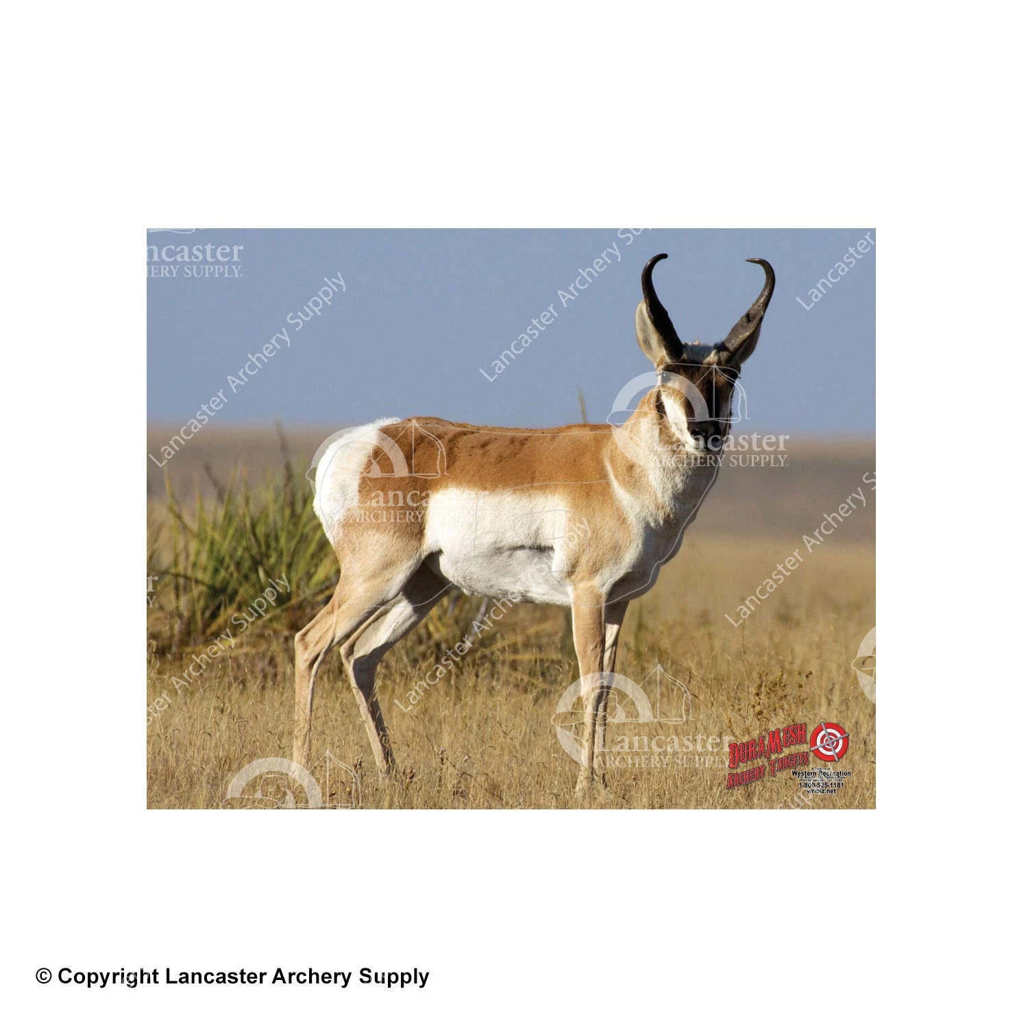 DuraMesh Archery Targets DuraMesh X-Large Big Game Archery Targets 3 DuraMesh Archery Targets DuraMesh X-Large Big Game Archery Targets