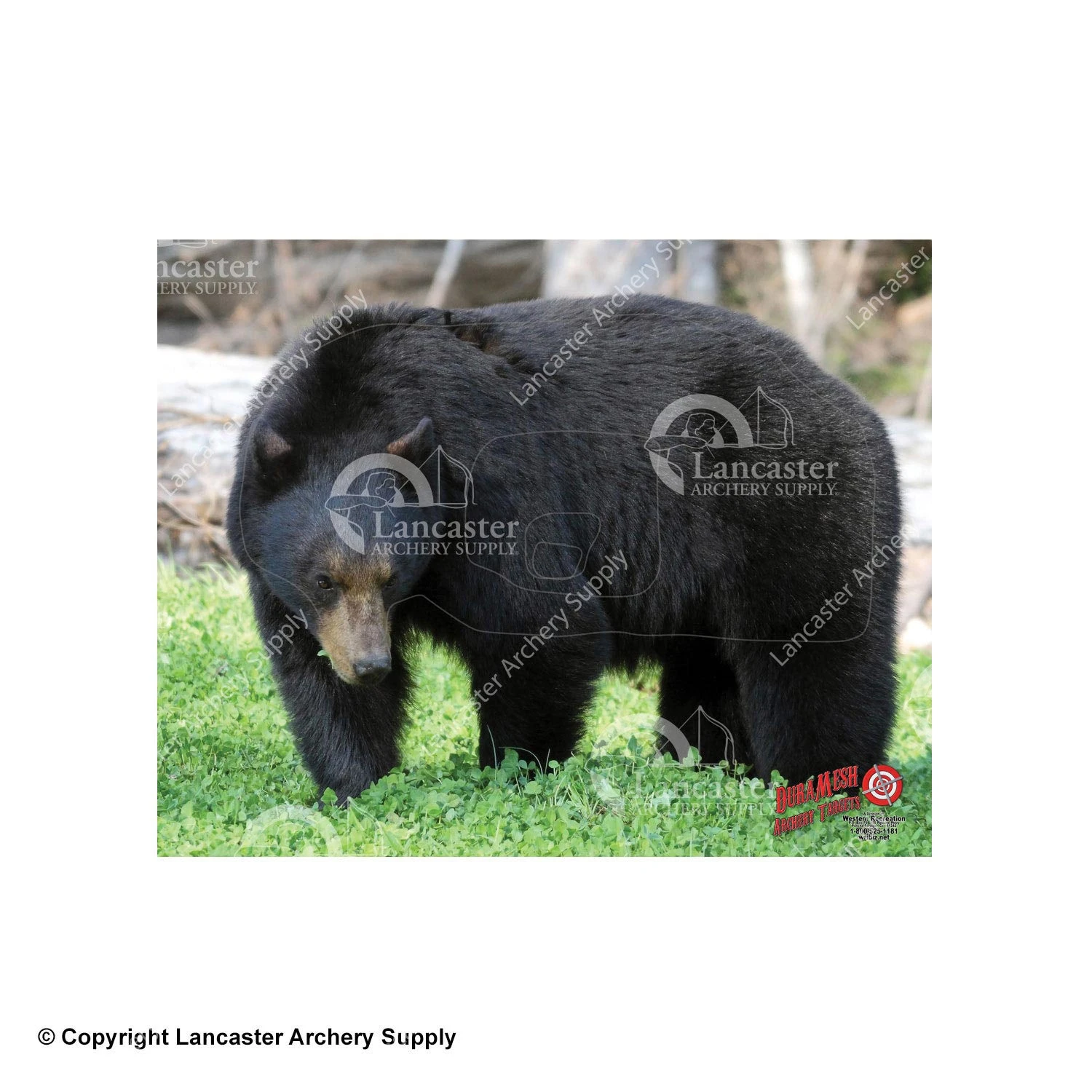 DuraMesh Archery Targets DuraMesh X-Large Big Game Archery Targets 4 DuraMesh Archery Targets DuraMesh X-Large Big Game Archery Targets - Image 2