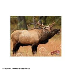 DuraMesh Archery Targets DuraMesh X-Large Big Game Archery Targets 9 DuraMesh Archery Targets DuraMesh X-Large Big Game Archery Targets -big shot shop 4700151 elk