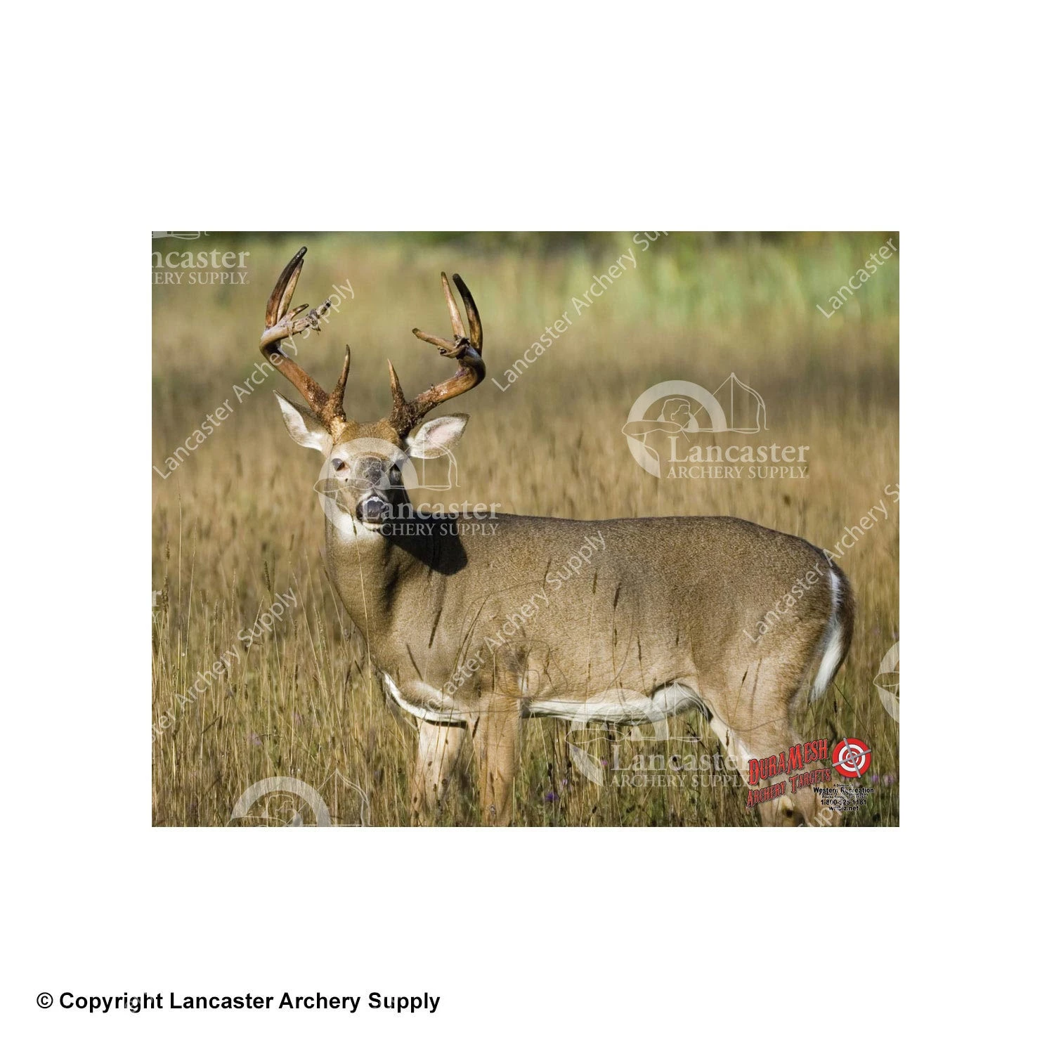 DuraMesh Archery Targets DuraMesh X-Large Big Game Archery Targets 7 DuraMesh Archery Targets DuraMesh X-Large Big Game Archery Targets - Image 5