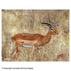 Western Recreation DuraMesh Targets -big shot shop 4700172 impala