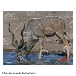 Western Recreation DuraMesh Targets