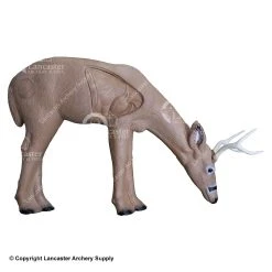 Rinehart Broadhead Buck Target