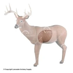 Rinehart Big Ten Buck Insert