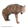 Rinehart Coyote Target -big shot shop 5650023