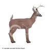 Rinehart Alert Deer Target 2 Rinehart Alert Deer Target -big shot shop 5650025 ef40c2d5 6e2c 4e7b 8703 29ee9d433456