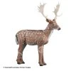 Rinehart Fallow Deer Target -big shot shop 5650031