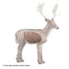 Rinehart Fallow Deer Insert 2 Rinehart Fallow Deer Insert -big shot shop 5650032 788fb3af 9153 498b a2dd 866b0ef4f613