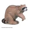 Rinehart Raccoon Target 2 Rinehart Raccoon Target -big shot shop 5650035