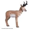Rinehart Pronghorn Antelope Target 1 Rinehart Pronghorn Antelope Target -big shot shop 5650039