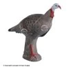 Rinehart Alert Turkey Target -big shot shop 5650051