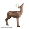 Rinehart Browsing Buck Target -big shot shop 5650078
