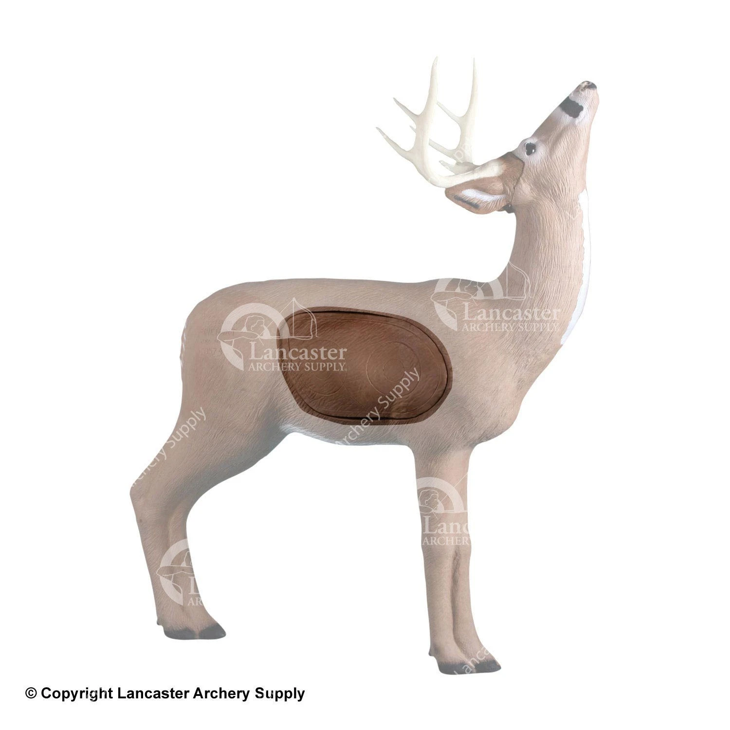 Rinehart Browsing Buck Insert 3 Rinehart Browsing Buck Insert