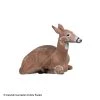 Rinehart Bedded Doe Target -big shot shop 5650083