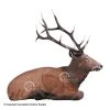 Rinehart Bedded Elk Target -big shot shop 5650087