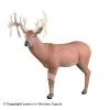 Rinehart 30 Pt. Buck Target -big shot shop 5650174