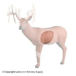 Rinehart 30 Pt. Buck Insert