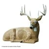 Rinehart Bedded Buck Target -big shot shop 5650177