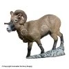 Rinehart Corsican Ram Target 1 Rinehart Corsican Ram Target -big shot shop 5650222