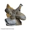 Rinehart Grouse Target 2 Rinehart Grouse Target -big shot shop 5650225