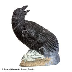Rinehart Raven Target