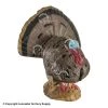 Rinehart Woodland Strutting Turkey Target -big shot shop 5650233 4f05d79e ac9f 4d98 9379 3056317704d6
