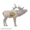Rinehart 1/3 Scale Woodland Elk Insert 2 Rinehart 1/3 Scale Woodland Elk Insert -big shot shop 5650236 da4bb6ce 48d4 4564 b98e 1f8077ce8da3
