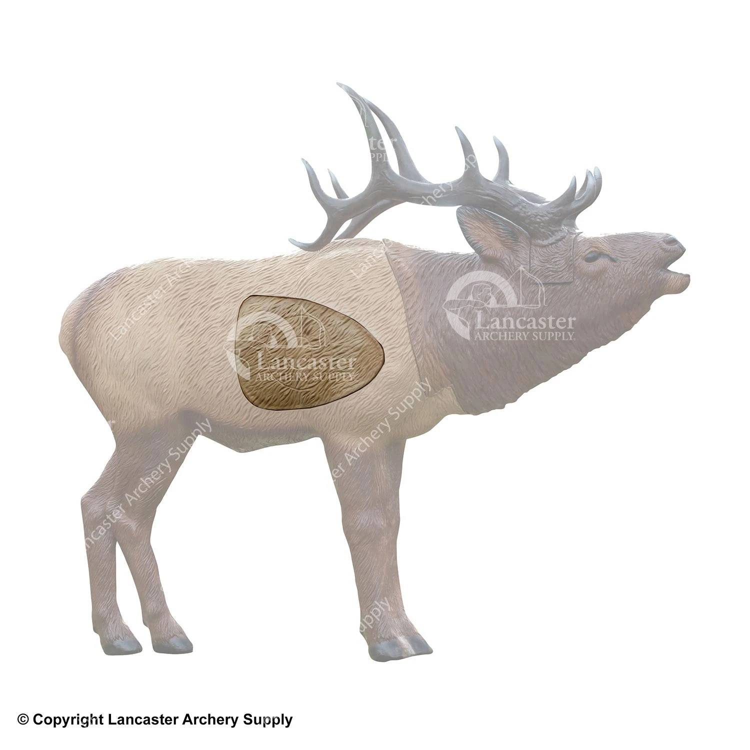 Rinehart 1/3 Scale Woodland Elk Insert 3 Rinehart 1/3 Scale Woodland Elk Insert
