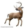 Rinehart Kicking Deer Target -big shot shop 5650258