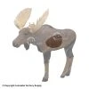 Rinehart 1/3 Scale Woodland Moose Replacement Insert 2 Rinehart 1/3 Scale Woodland Moose Replacement Insert -big shot shop 5650262 1