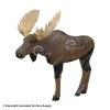 Rinehart 1/3 Scale Woodland Moose 3D Target -big shot shop 5650263