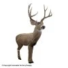 Rinehart Woodland Mulie 3D Target -big shot shop 5650273