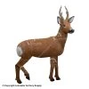 Rinehart Roe Deer 3D Target -big shot shop 5650275