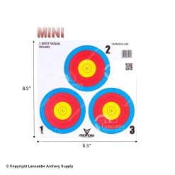 .30-06 Outdoors 30-06 Mini Archery Target Sets (3-Spot Vegas - 100ct.)