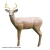 RealWild Medium Series Alert Deer 3D Target